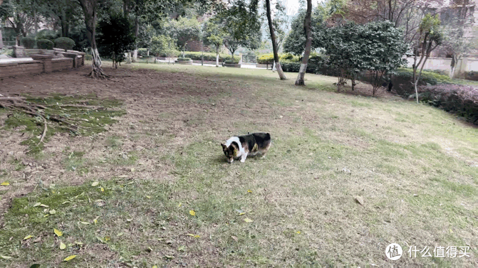 极具设计感的实用手机全能伴侣——臻迪随动S1口袋手机云台体验报告