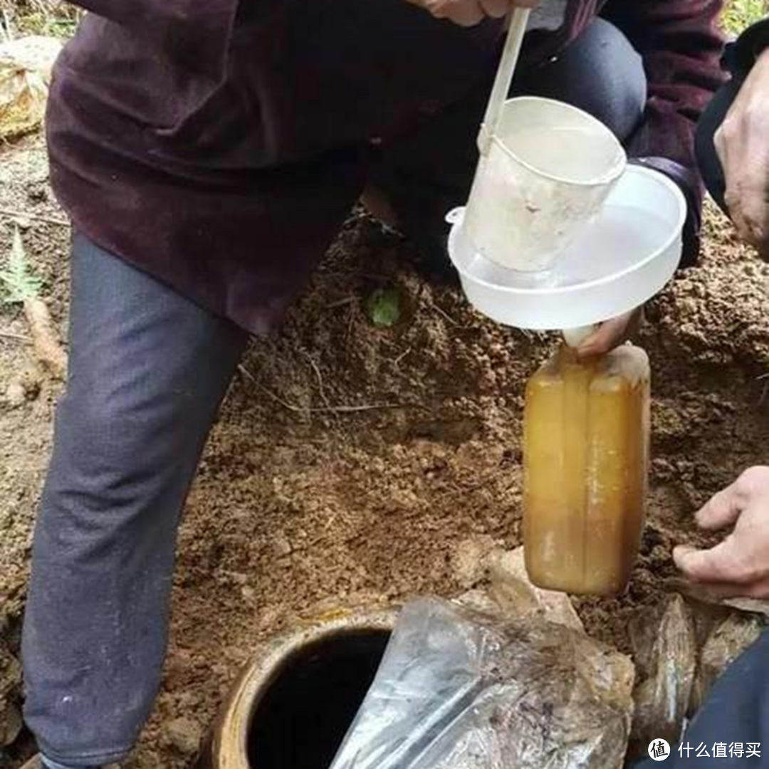 白酒放越久越好喝?行家指出:存酒有“4个误区”,犯1个都没法喝