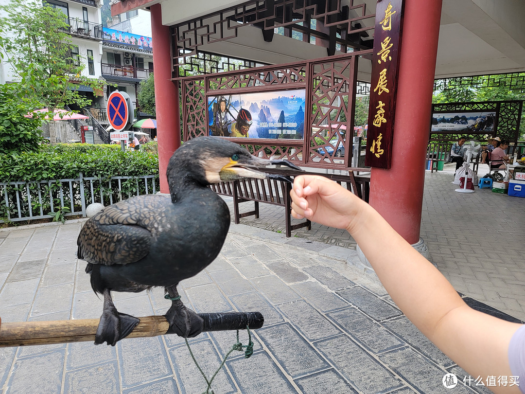 古镇也有一些快乐，不再过多剧透，大家自行寻觅