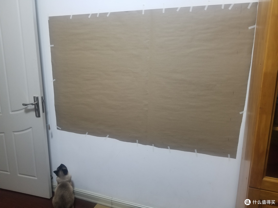 为了鸡娃,猫和我都操碎了心