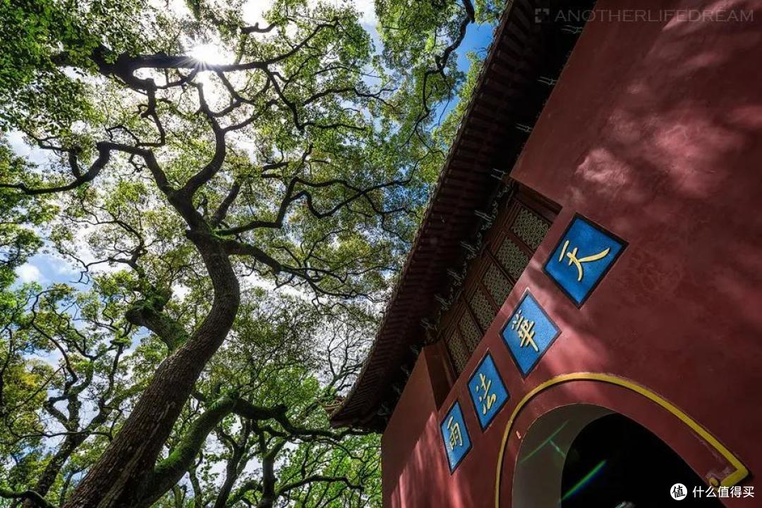 这是一篇帮你玩转舟山的实用干货帖