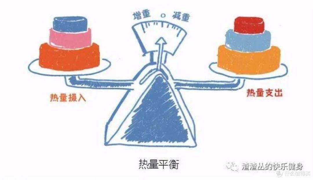辟谣|练腹瘦腰+深蹲粗腿?事实是这样的