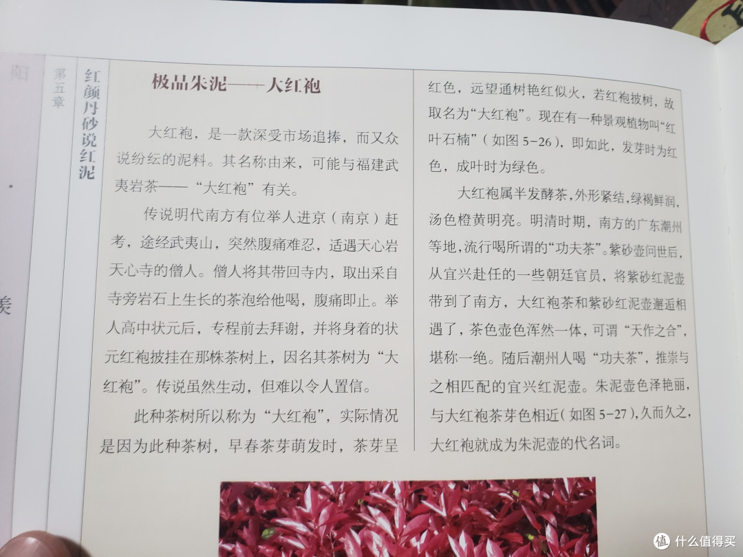 大红袍名称来历传说