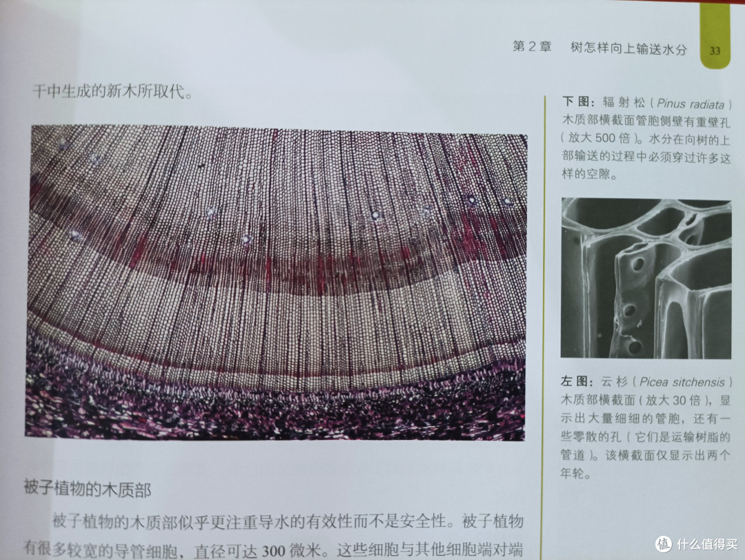 图书馆猿の2021读书计划42:《树的秘密生活》