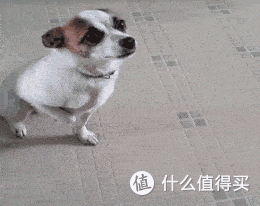 心脏支架被打残,为何医保总是无往不利?