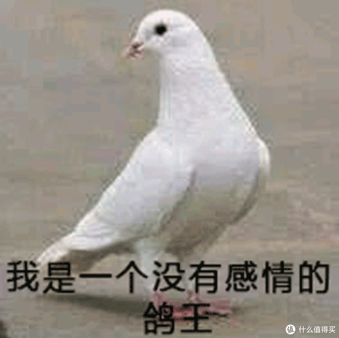 阿斯加特an2500g长江颗粒版评测下入门固态的守门员