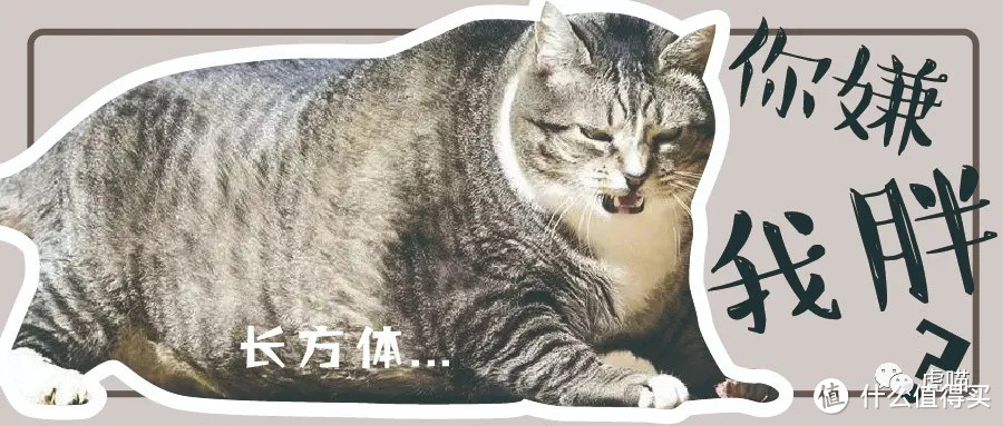 猫下泌尿道疾病知多少