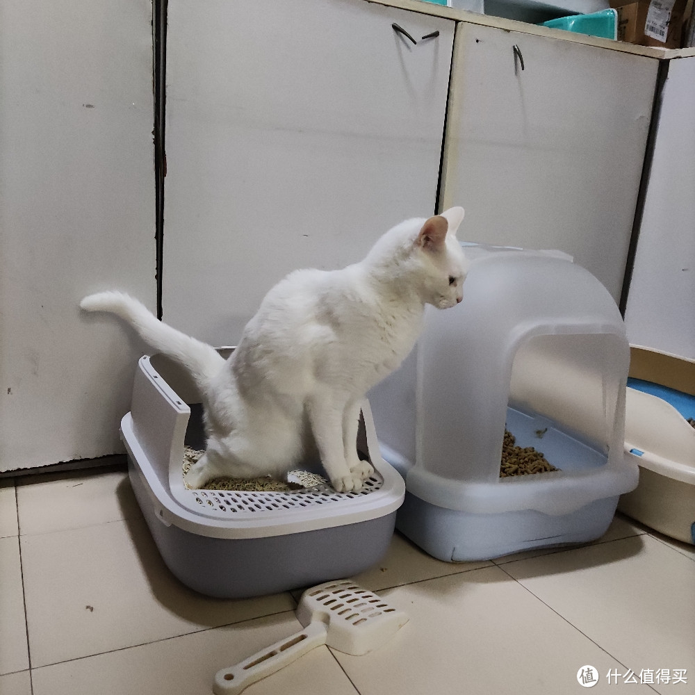 618给猫主子的消费清单