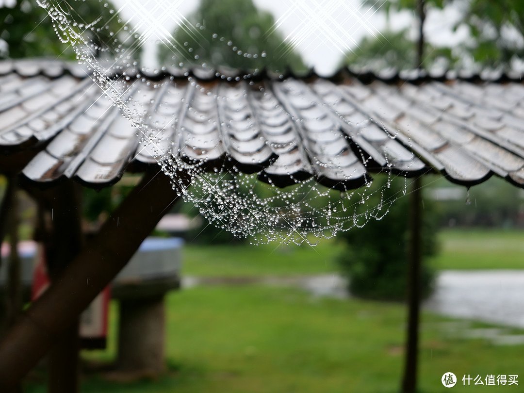这是星光滤镜，很有趣，可以把雨后的蜘蛛网P上星光