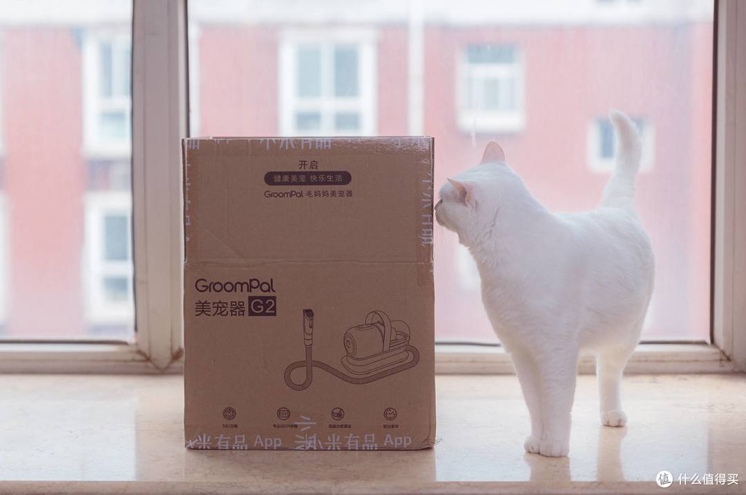 打造居家精致小猫咪，毛妈妈帮你~