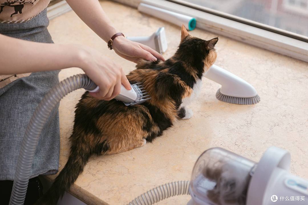 打造居家精致小猫咪，毛妈妈帮你~