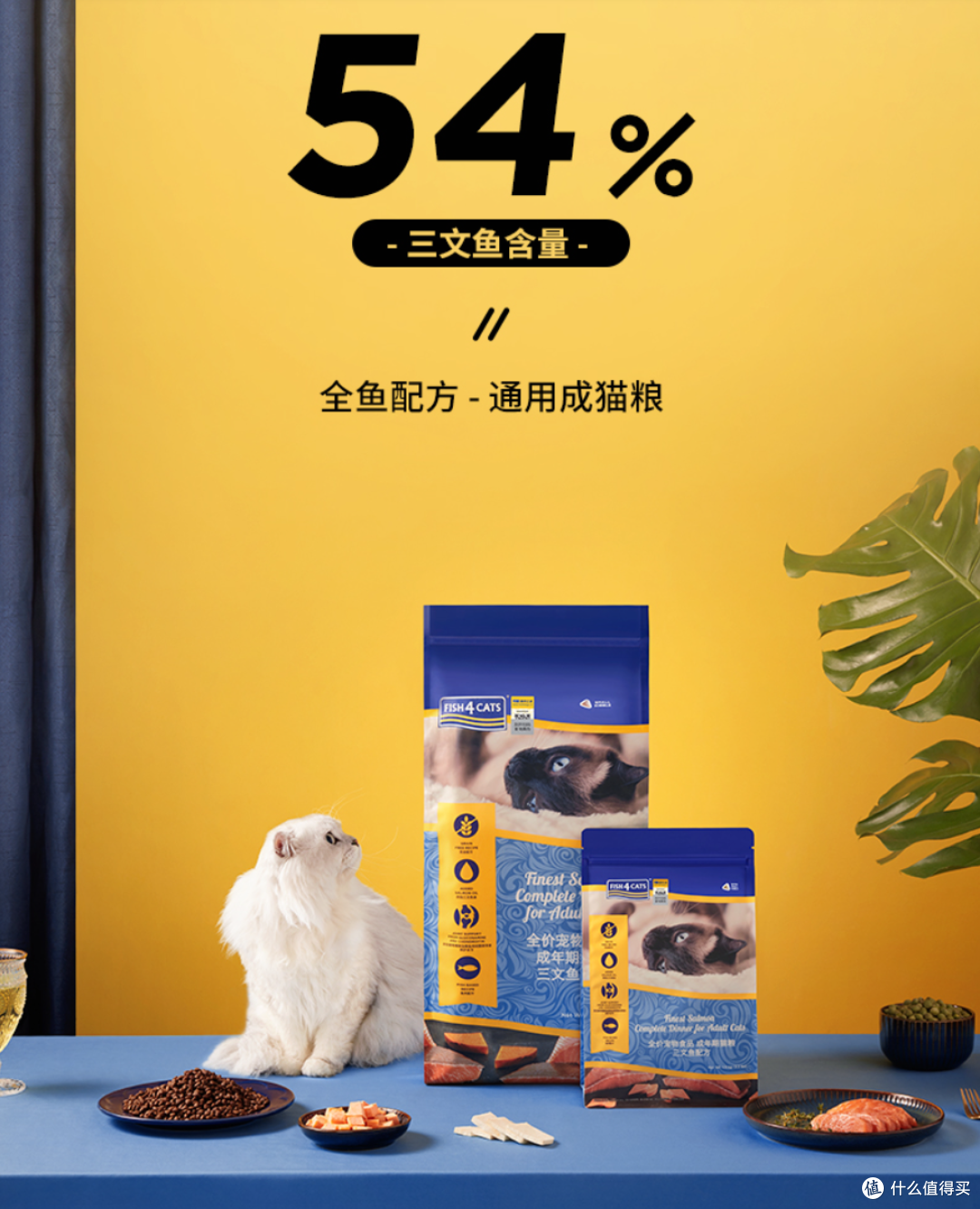 十大国产猫粮推荐, 盛夏七月篇, 低调做事的国产品牌, 应该被更多人知晓