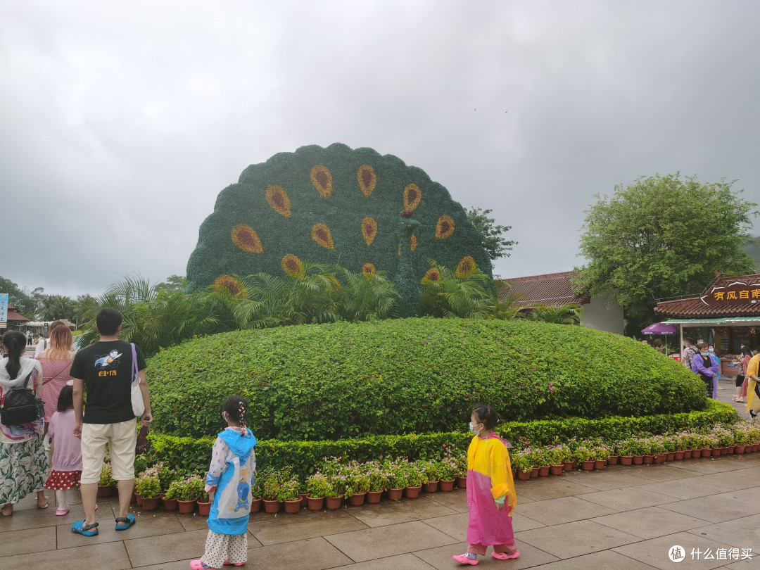 去三亚拜佛了,梵天厚土寿比南山——南山文化旅游区体验