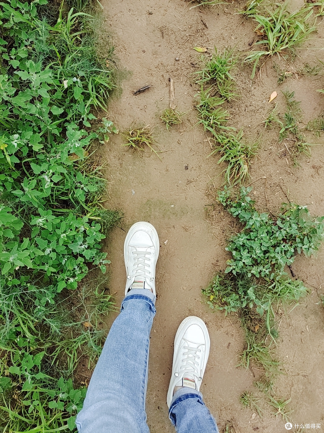 小雨刚过,空气清新,体感清爽