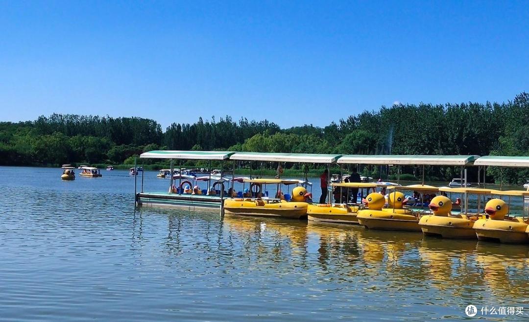 北京奥林匹森林公园风景美而收获多多