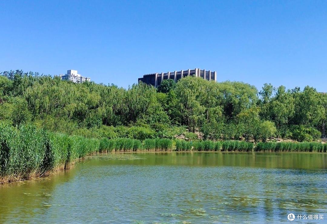 北京奥林匹森林公园风景美而收获多多
