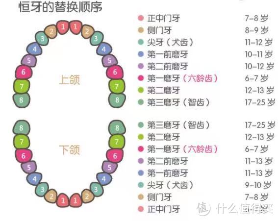 口腔健康要从娃娃抓起,超全的儿童护牙指南,不用到处找资料了