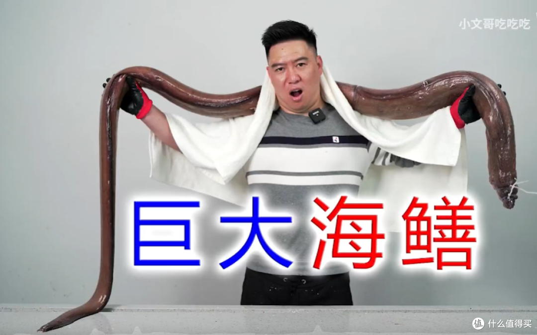 寓教于乐,德智体美全面发展,我所喜爱的几十名宝藏UP主全推荐,长文建议收藏备用