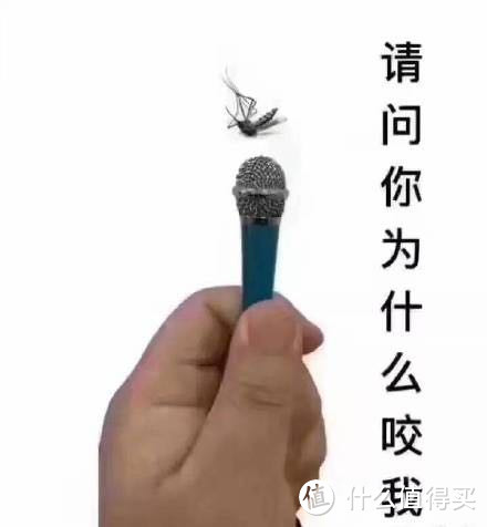 死蚊子，这个夏天跟你没完→终极武器之电蚊拍