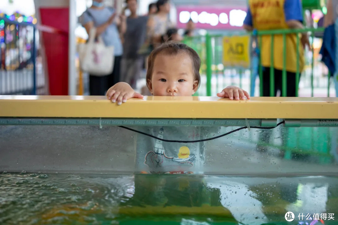 永诺35mm F2，不到两千元的RF卡口自动对焦镜头