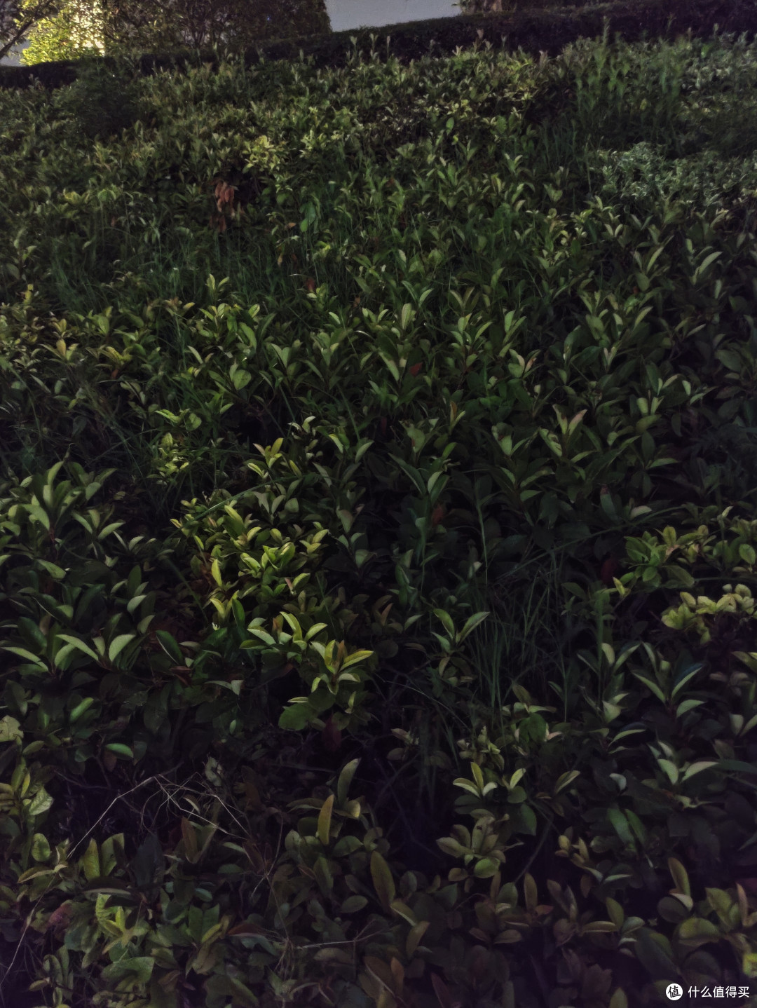 荣耀50 Pro体验：轻薄四色精致双镜，潮美数字旗舰重新出发