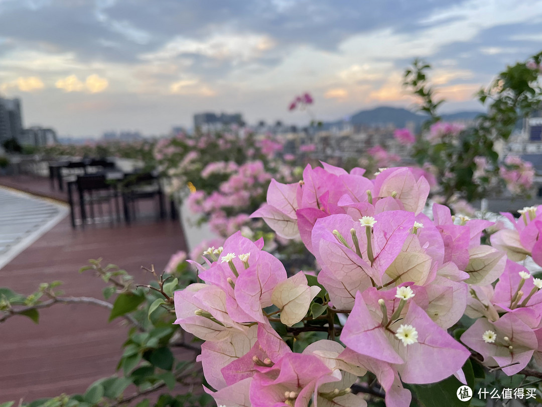 在顶层看美景吃浪漫双人西餐，过节再也不愁选地方