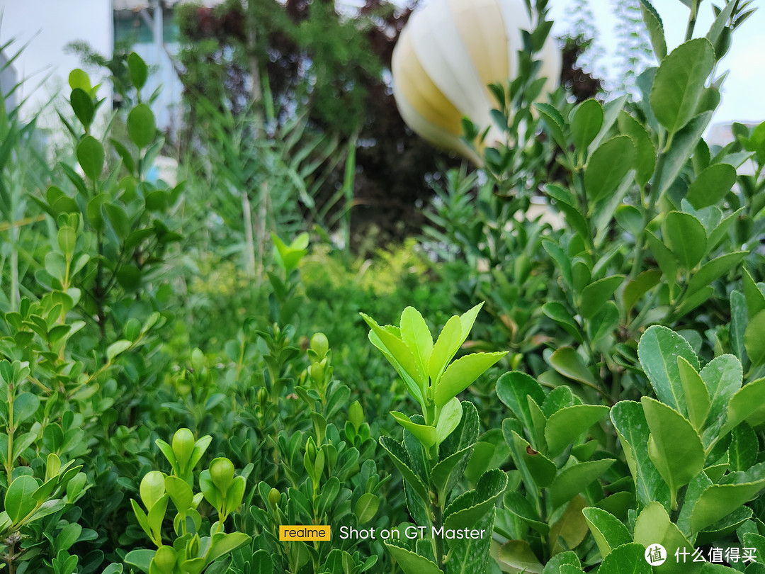 realme真我gt大师探索版雪山开箱拍照很牛的品质旗舰