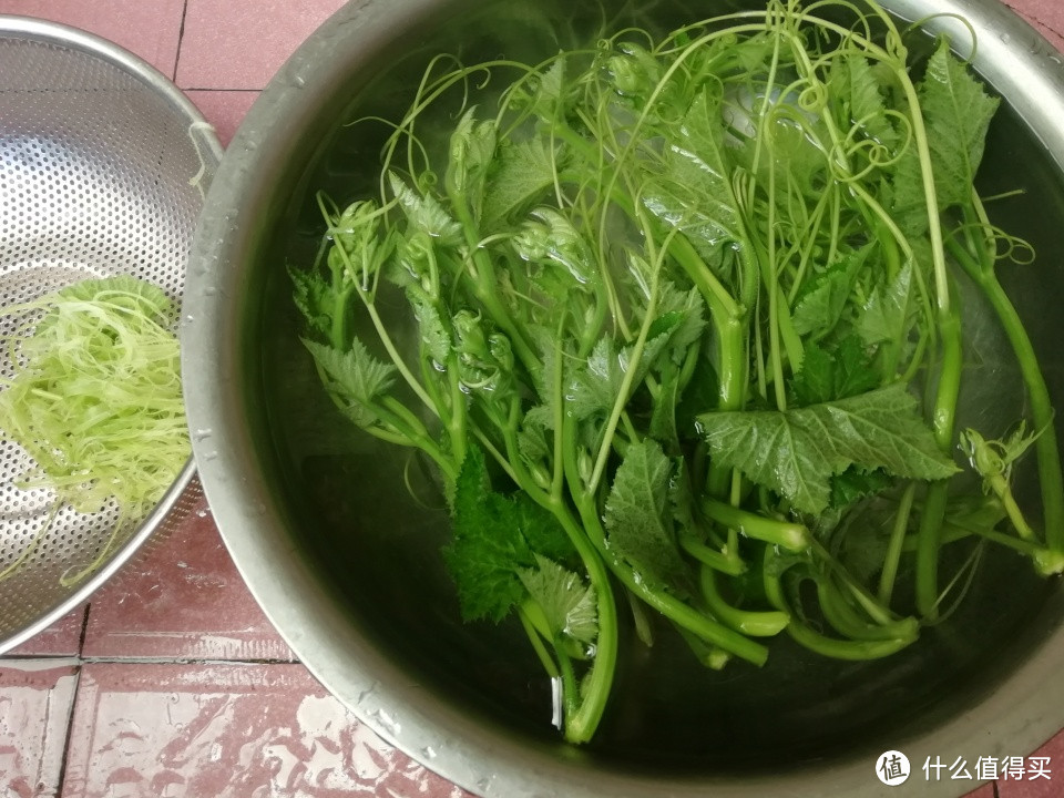 这菜浑身都是宝,夏天要常吃,对咳嗽特别好,不懂吃真的亏了!