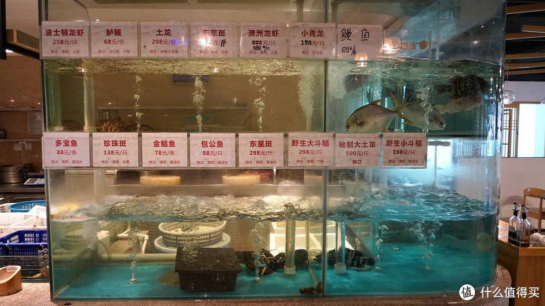 寻找最地道夏门菜:丙洲煎蟳