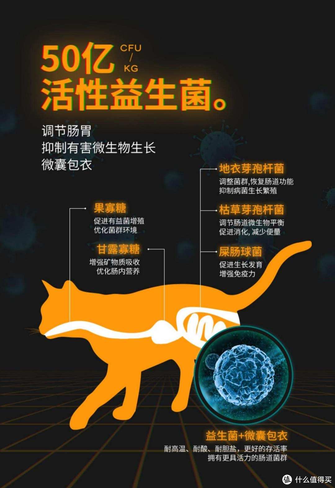 你知道怎么挑选适合主子的猫粮吗？