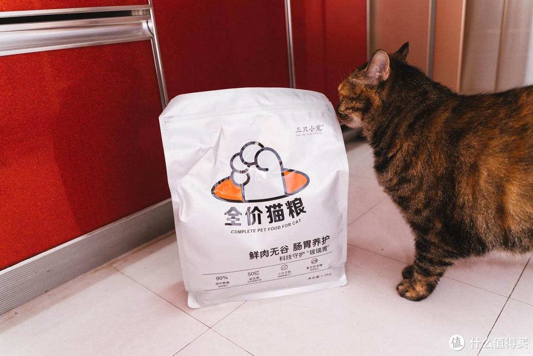 你知道怎么挑选适合主子的猫粮吗？