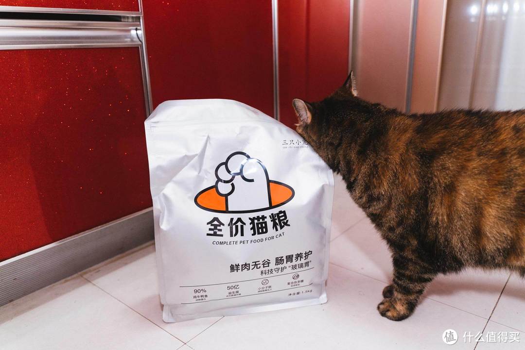 你知道怎么挑选适合主子的猫粮吗？