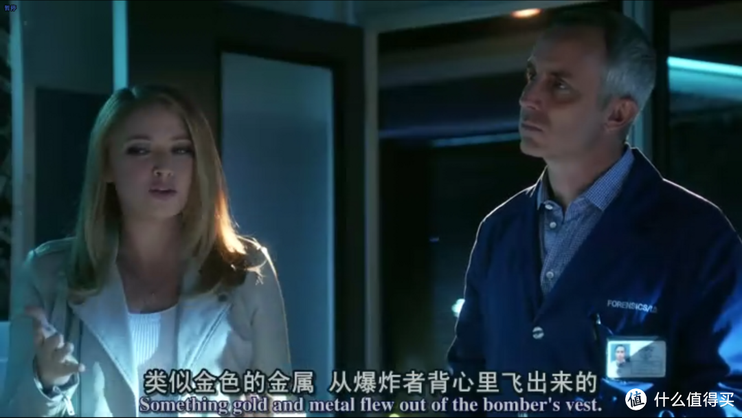 时代的终章《犯罪现场调查完结篇：不朽 CSI: Immortality》