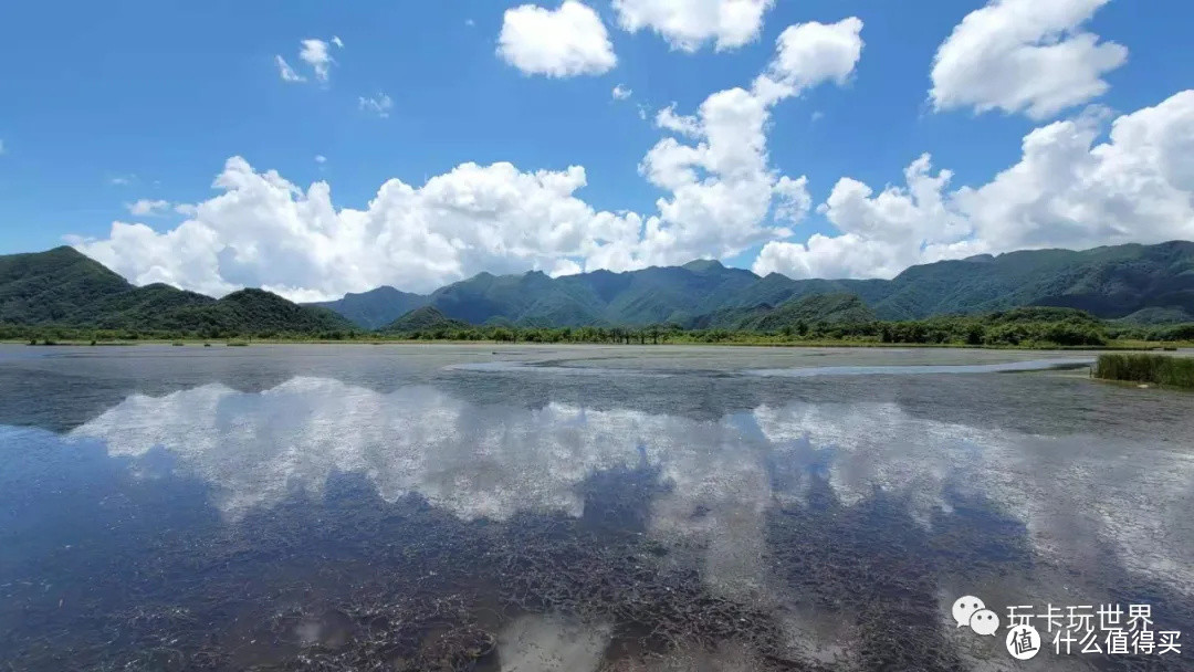 沼泽，据说这里的水质达到一类标准