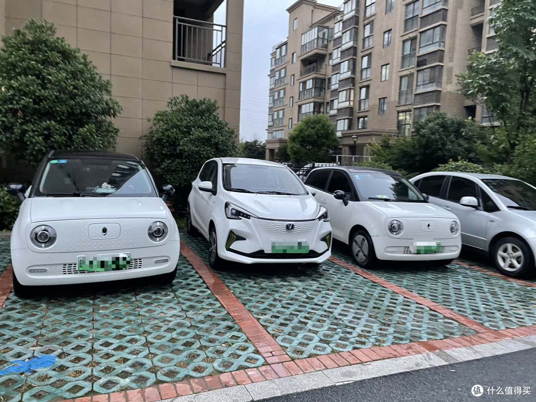 合影