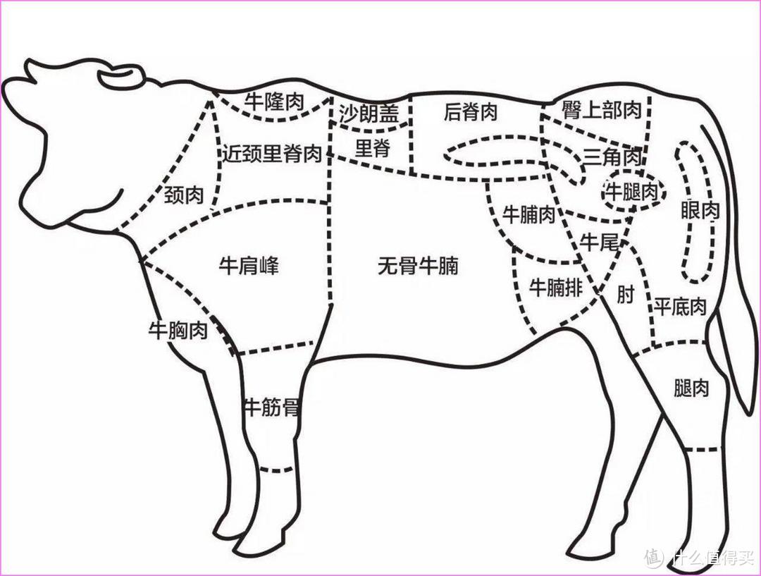 牛腱肉和牛腿肉哪个好，牛腿肉与牛腱子肉的区别