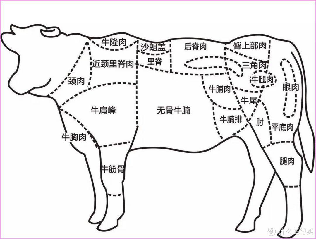 红烧板筋肉怎么做_红烧板筋肉的做法_豆果美食