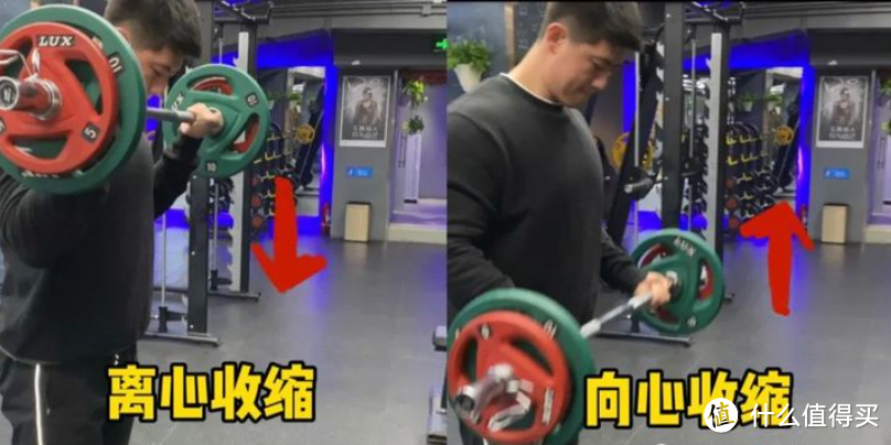 健腹轮是不是鸡肋?说说健腹轮的长与短