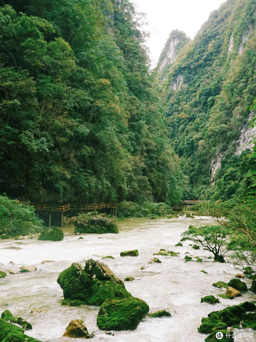 已经连续5年免门票了，你到底什么时候来贵州？