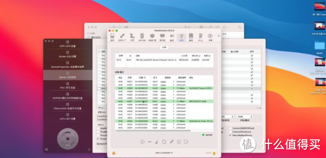 【黑苹果教学】最详细黑苹果USB定制教程，误升BigSur 11.4后USB定制