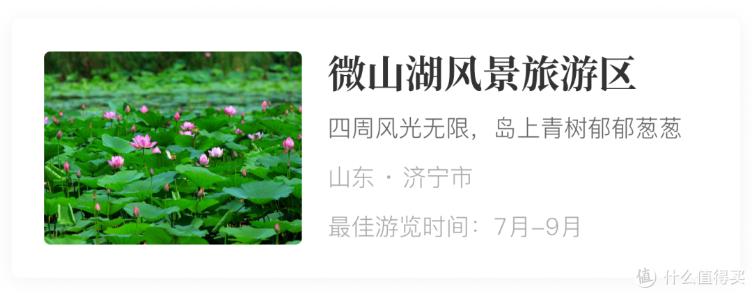 风物推荐7.28｜藏在干巴菌“丑陋皮囊”下的，是卓尔不群的鲜美味道