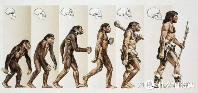 【跑者训练营】平足,要不要穿鞋?