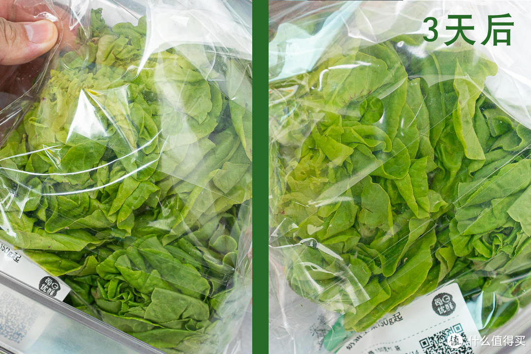 传统冰箱中的另类,小吉法式复古对开门冰箱新品体验