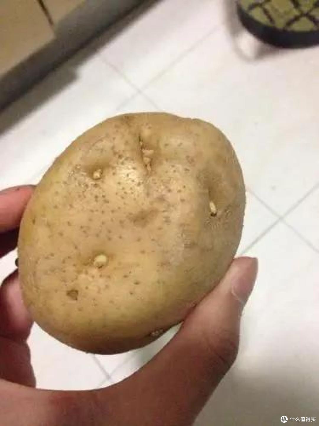 【百元家居必备单品】极大的提高了我生活的幸福感的10大好物！