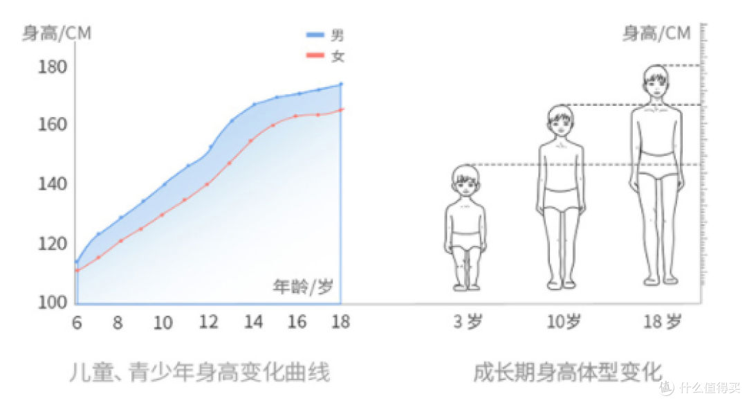 儿童、青少年身高变化曲线