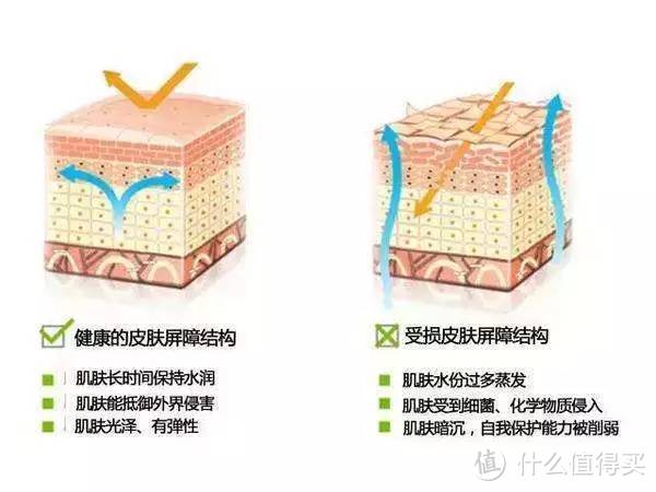 老男人的护肤起步 ~ 来自韩国的EQQUALBERRY盈润平衡水乳套装使用体验