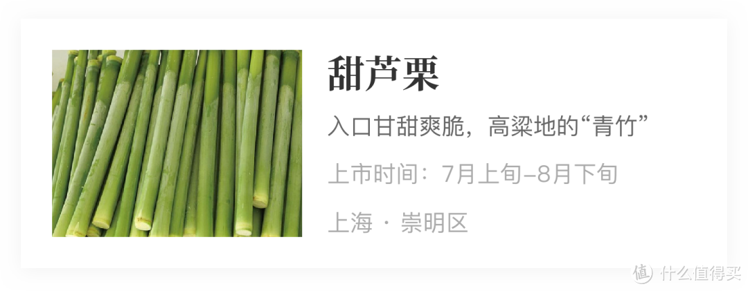 风物推荐8.3｜长三角的甜蜜记忆：长得像竹子，吃着像甘蔗的甜芦栗