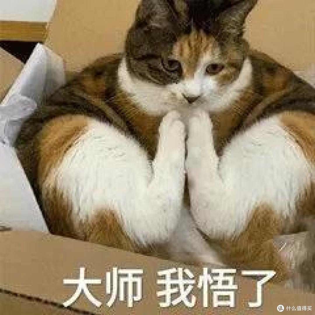 国产主食罐测评，久等了！