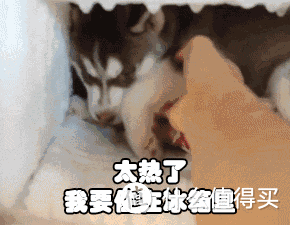 40℃高温发货,热҈热҈热҈浪来袭!是时候拿出「门窗清凉方案」了!