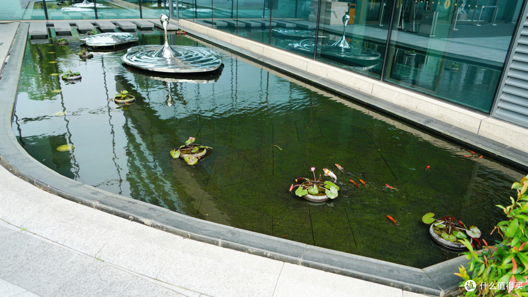 磅礴大气，坐观沧海：厦门IHG头牌：宸洲海景洲际酒店入住体验